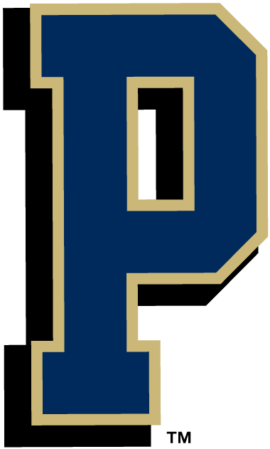 Pittsburgh Panthers 1997-2015 Alternate Logo iron on paper